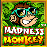 slotciti Monkey Madness